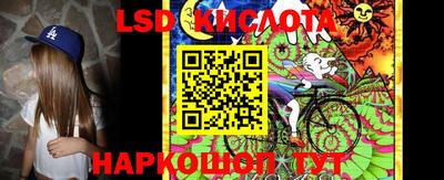 прущие грибы Анапа