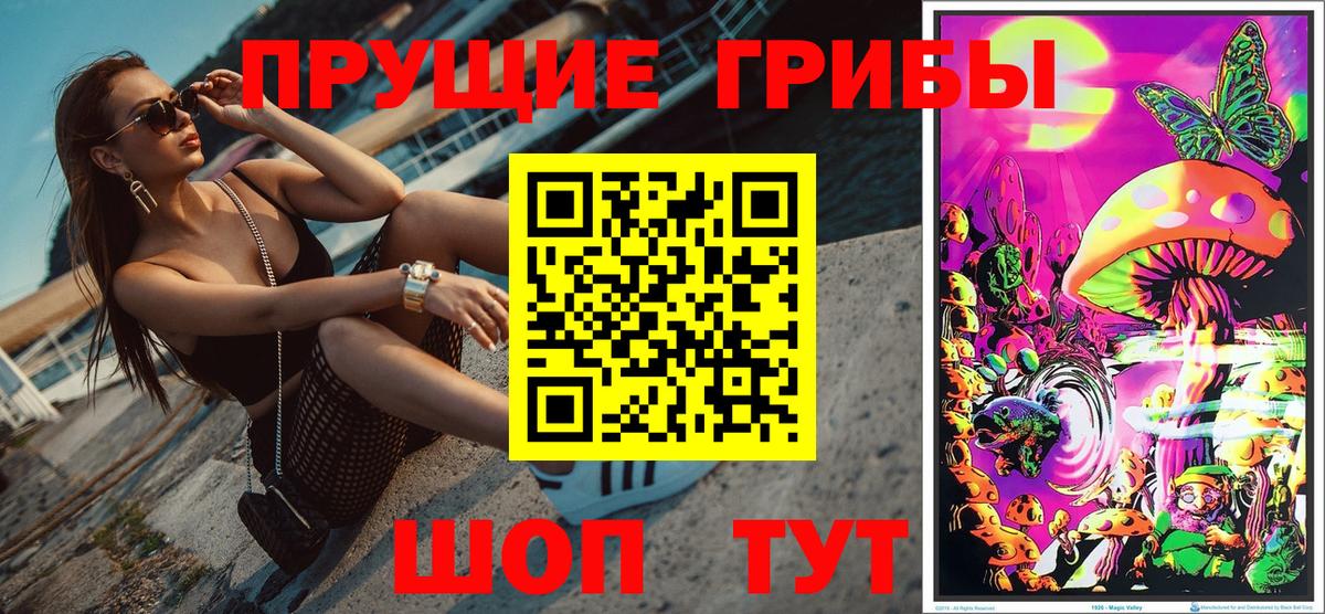 Галлюциногенные грибы Cubensis Луховицы